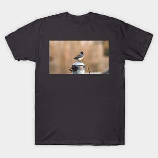 Dark-eyed Junco Standing On A Post T-Shirt